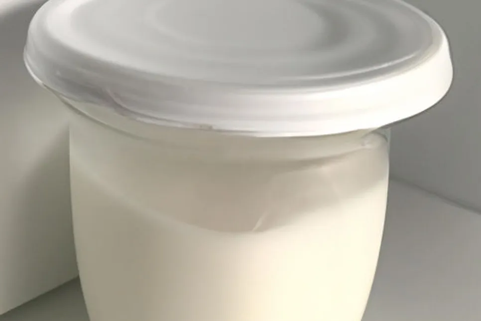 Como congelar o kefir de leite e de água - Sem perder o sabor!