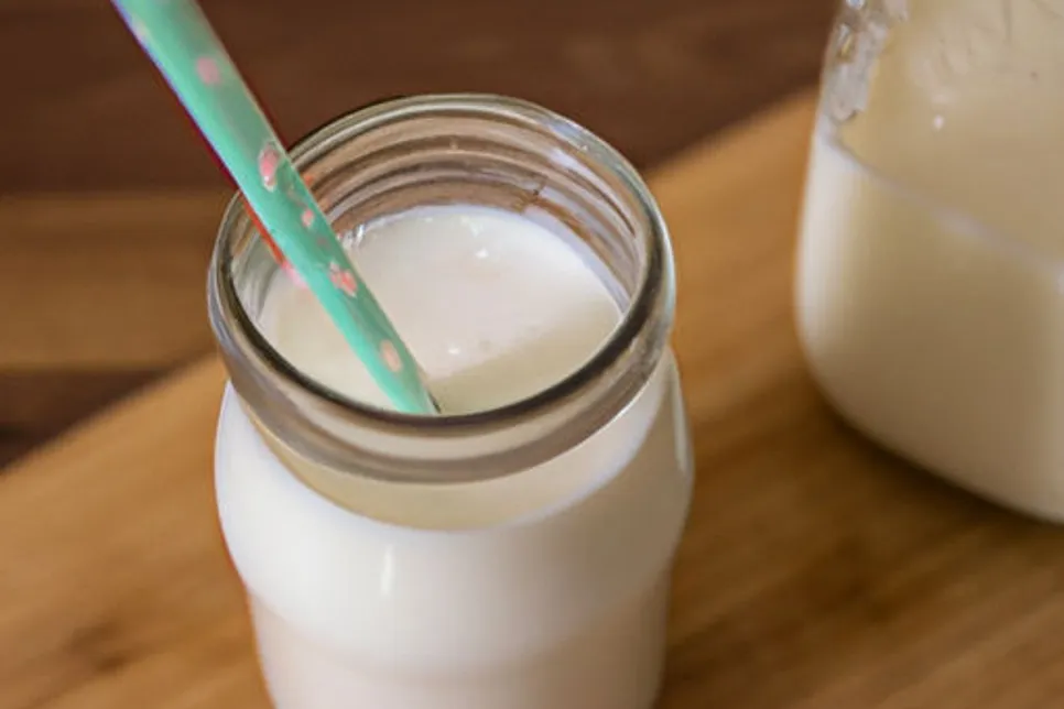 Como fazer seu próprio leite de Kefir em casa