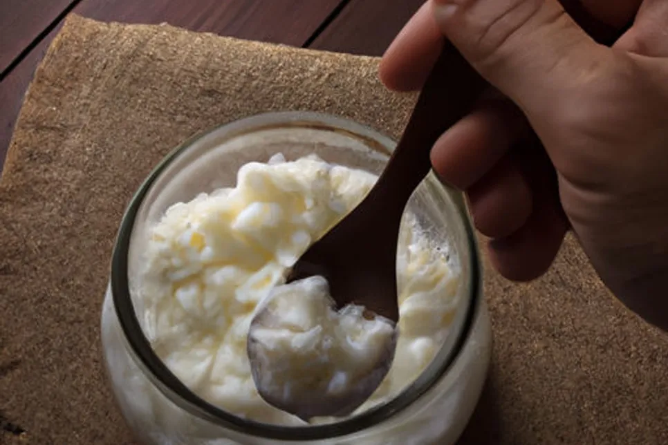 Kefir e seus benefícios: uma receita de sucesso