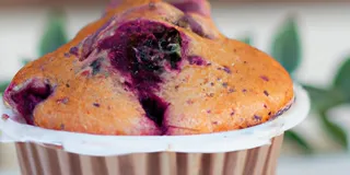 Receita Muffin de mirtilo low carb irresistível